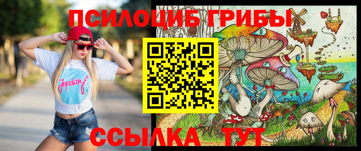 Краснокамск  купить закладку  Вход с VPN  Псилоцибиновые грибы Psilocybe 
